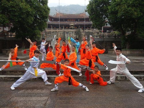 福建武术 从武艺到文化的精神传承