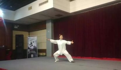 武动未来 爱武中国武术产业化论坛暨产品发布招商大会纪实